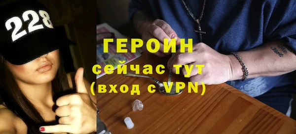 молекула духа Вяземский