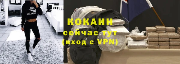молекула духа Вяземский