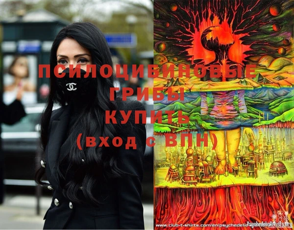 молекула духа Вяземский