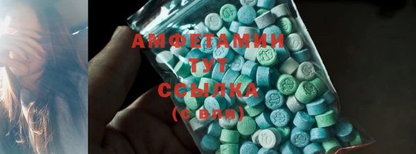 молекула духа Вяземский