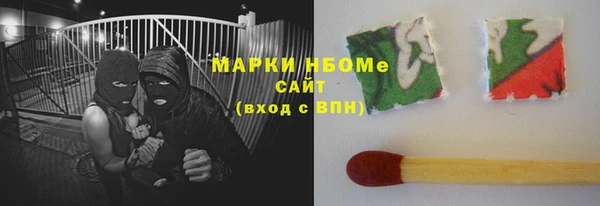 молекула духа Вяземский