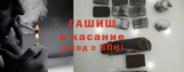 молекула духа Вяземский