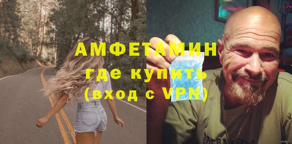 молекула духа Вяземский