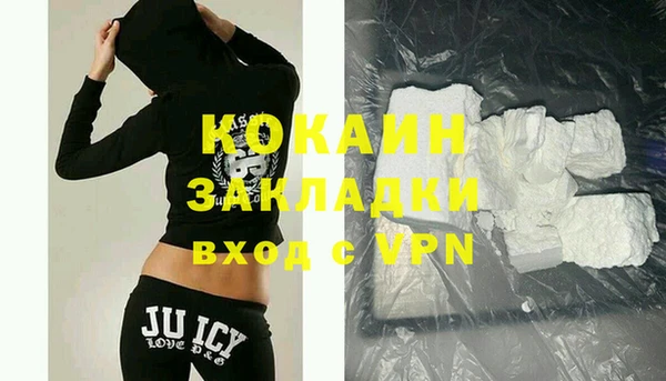 молекула духа Вяземский
