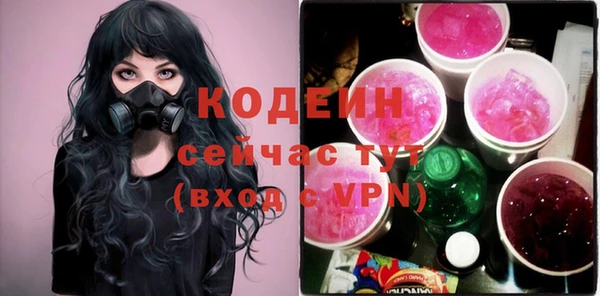 молекула духа Вяземский