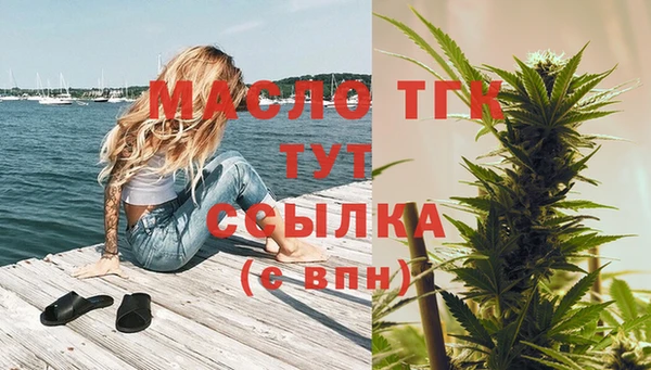 молекула духа Вяземский