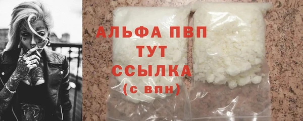 молекула духа Вяземский