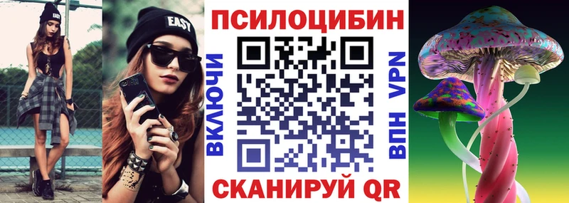 Псилоцибиновые грибы Psilocybe  сколько стоит  MEGA зеркало  Гусев 