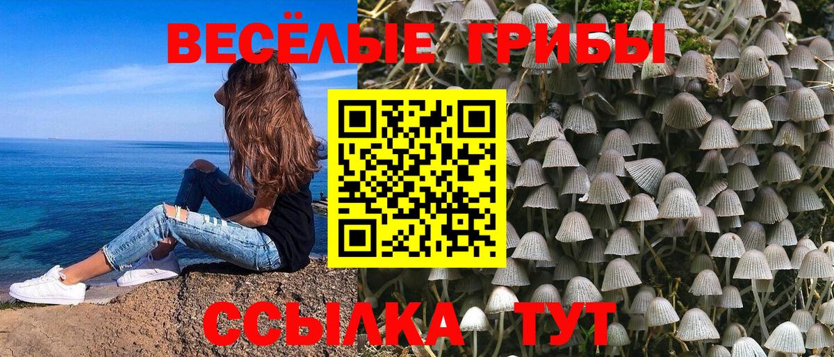 Псилоцибиновые грибы Cubensis  Вход с VPN  Гусев  Галлюциногенные грибы GOLDEN TEACHER 