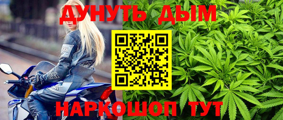 МАРИХУАНА сатива  Гусев  Конопля тримм  Марихуана конопля 